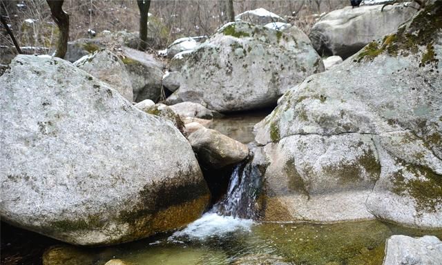 伊河源头，石头和水的风景，绿苔藓红茱萸点缀，有缘能捡到黄蜡石