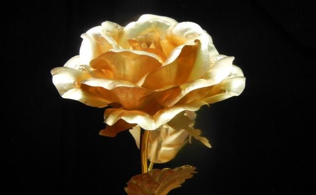 金箔玫瑰是真金的吗｜金箔玫瑰花是什么材质
