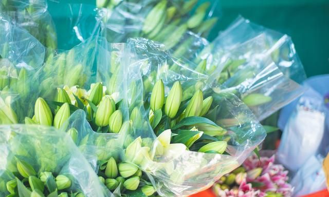 东莞人民公园花卉批发市场。爱花别错过，玫瑰便宜到1.4元1枝。