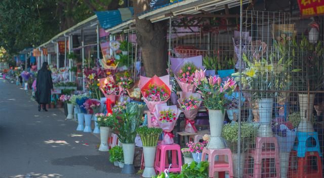 东莞人民公园花卉批发市场。爱花别错过，玫瑰便宜到1.4元1枝。