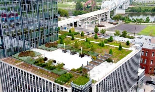 屋顶绿化的三种做法 在楼顶构建私家田园