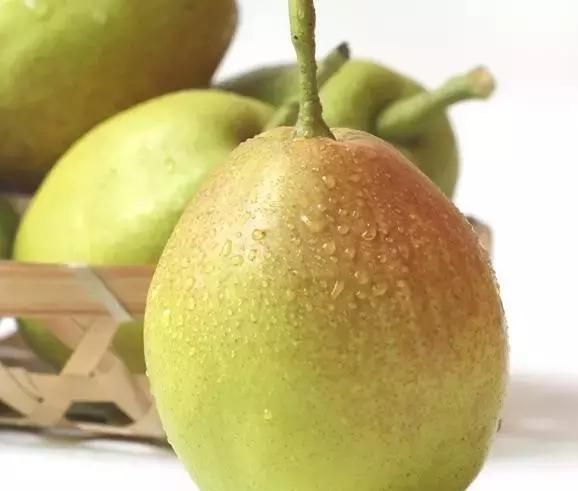 最全梨子产地品种指南，水果人必备