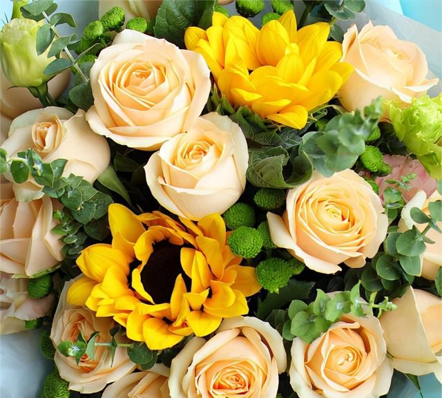 黄玫瑰花语是什么？黄玫瑰的象征意义，黄玫瑰适合送什么人？