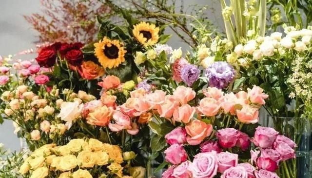 电商包年、好友拼团、花卉市场……你更愿意去哪里选购鲜花？