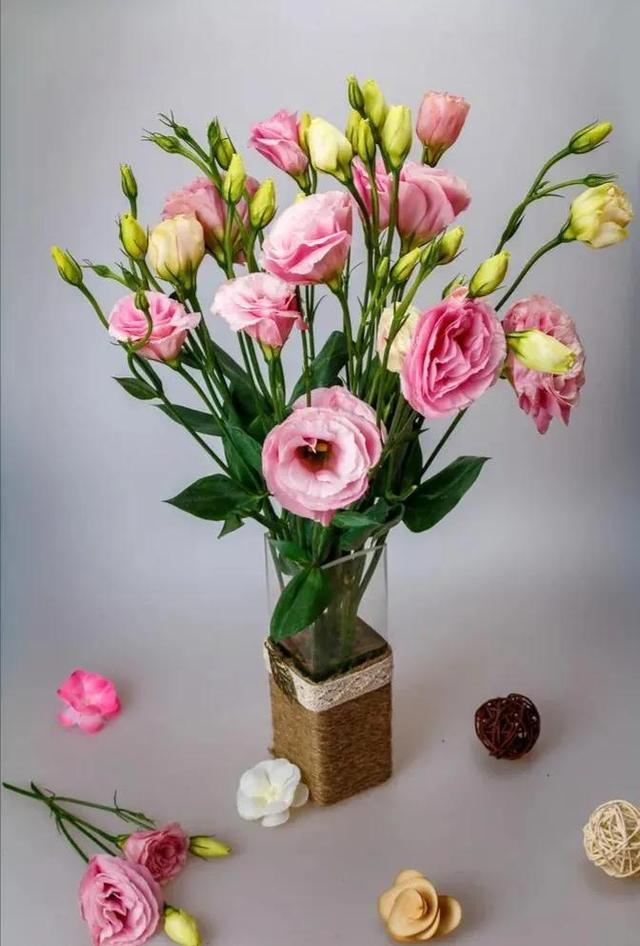 【洋桔梗花语】一览，让你感受这种花的美丽和温馨