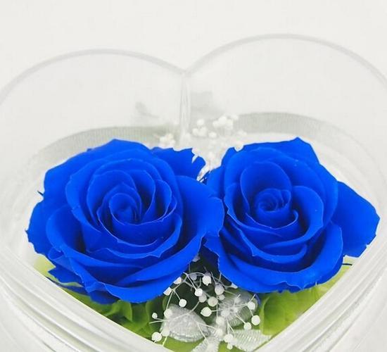 揭开蓝色妖姬33朵花的花语密码，感受深层内涵的美丽
