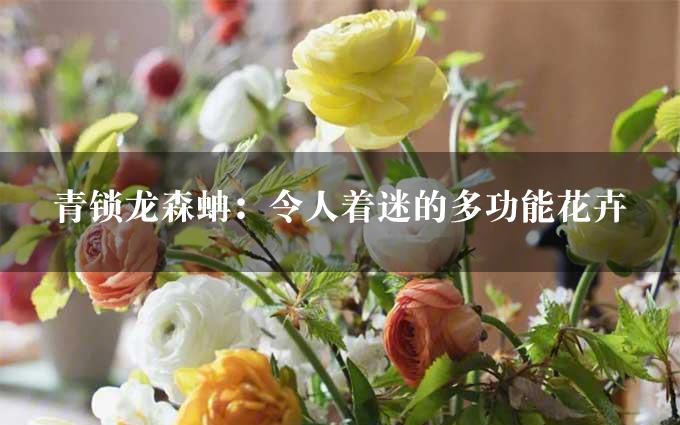 青锁龙森蚺：令人着迷的多功能花卉