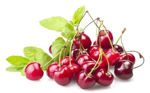 药用樱桃：益气祛风湿的健康果实